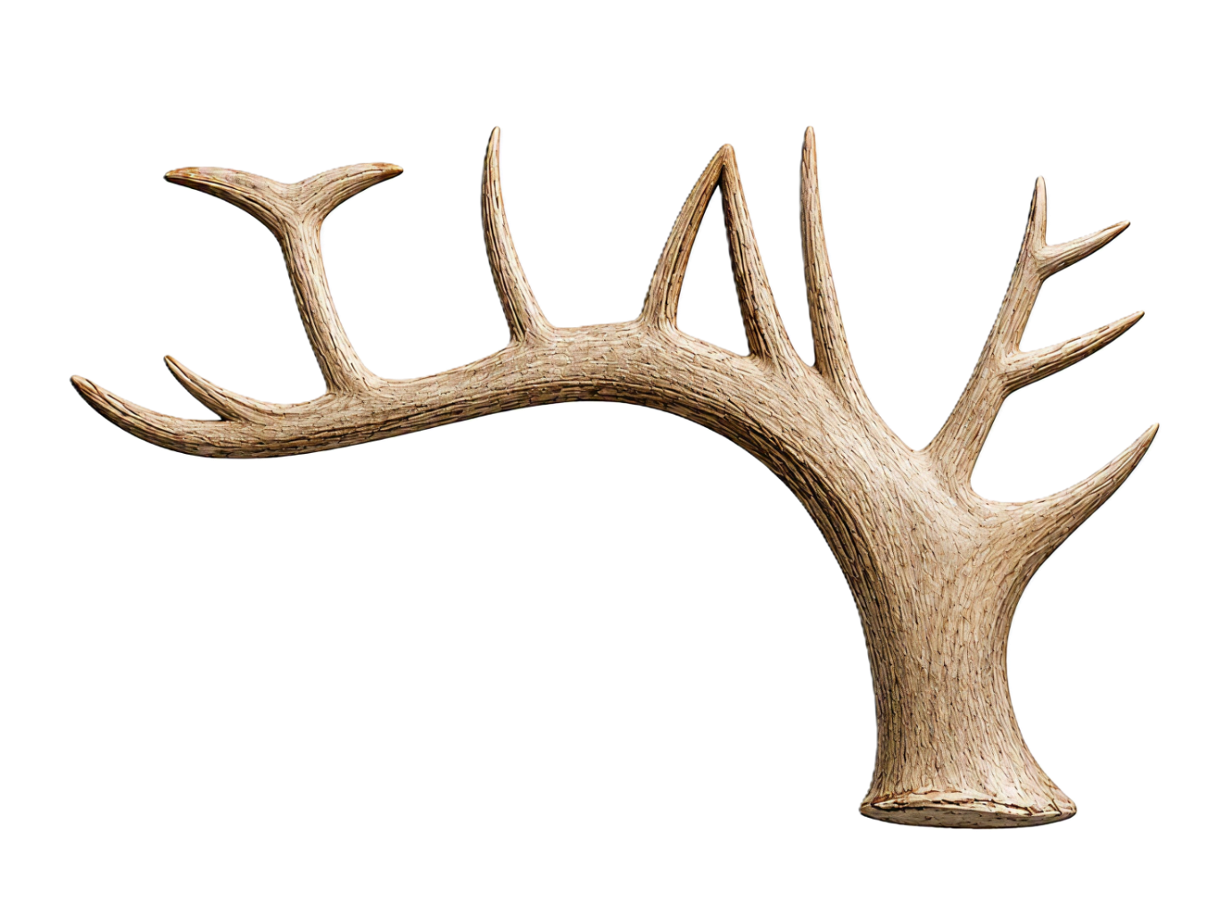 An Antler, with the tines of the antler spelling the project acronym TINE